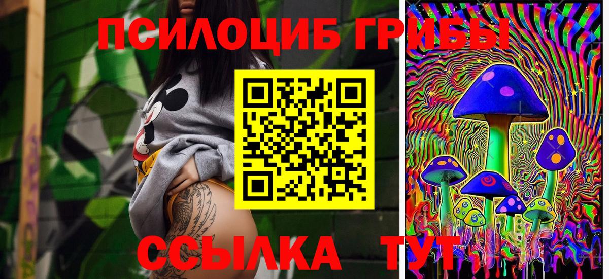 Галлюциногенные грибы Psilocybine cubensis  Вход с VPN  Тавда 