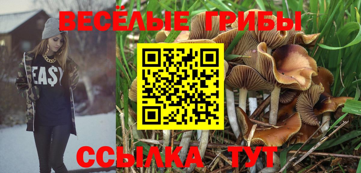 Псилоцибиновые грибы прущие грибы Тавда